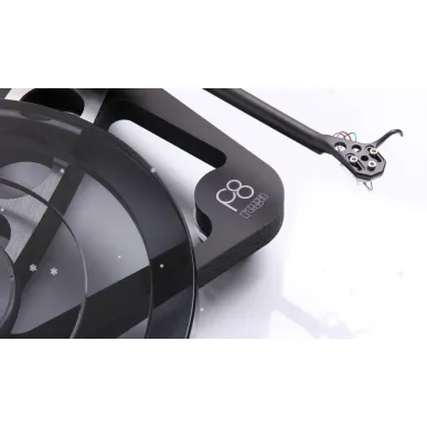 Виниловый проигрыватель Rega Planar 8 (Ania Pro) black